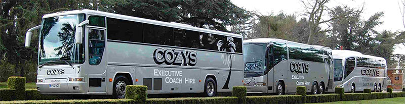 Alternative text for your image